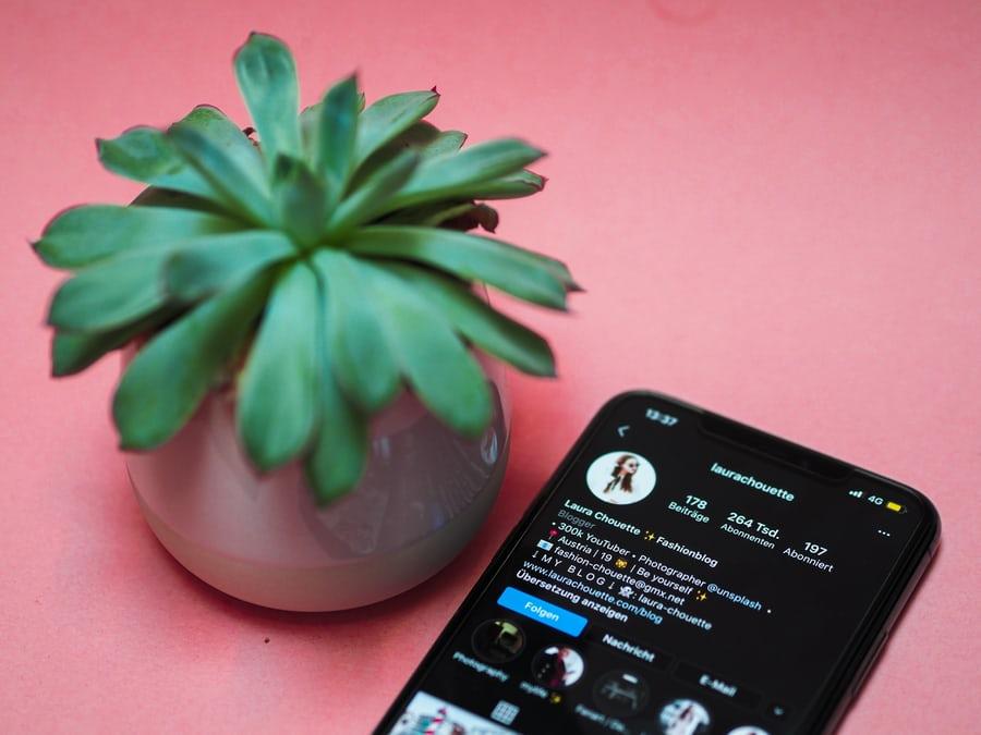 Phone on table next to plant.