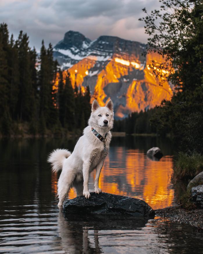 Lexy Troth's portfolio content
