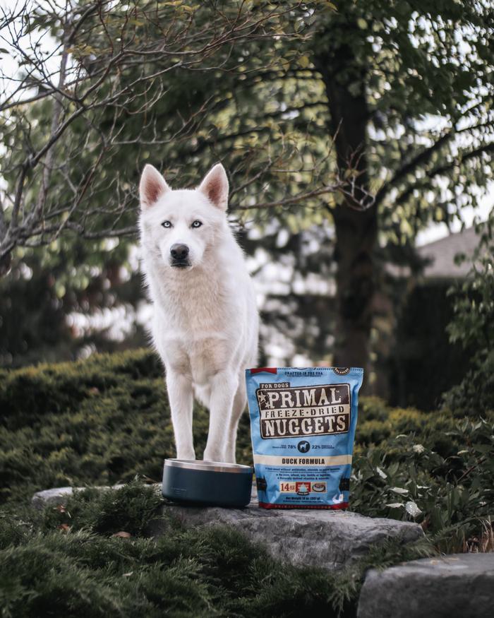 Lexy Troth's portfolio content