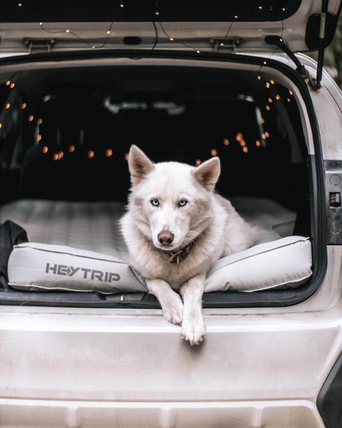 Lexy Troth's portfolio content