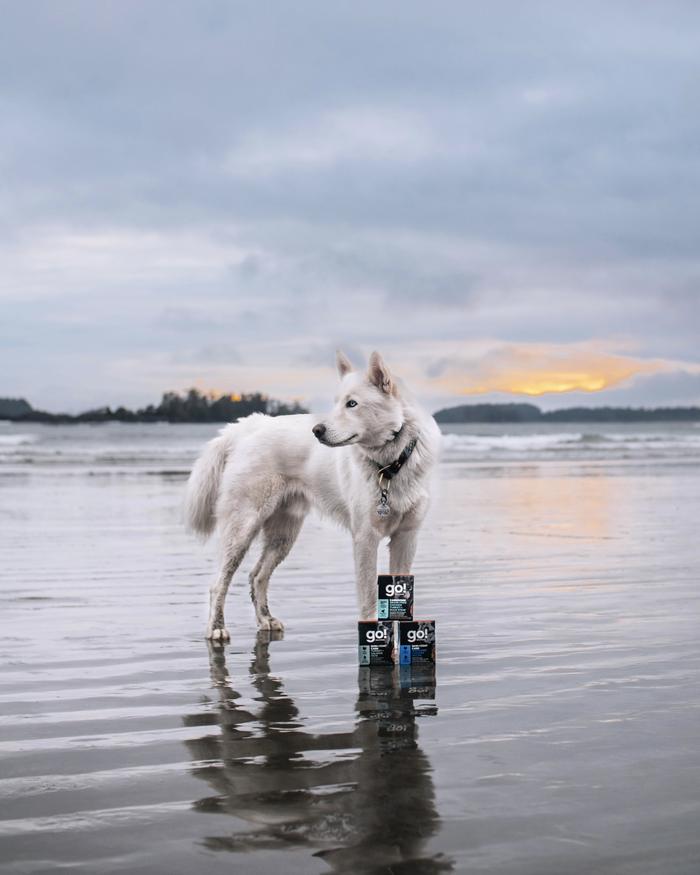 Lexy Troth's portfolio content