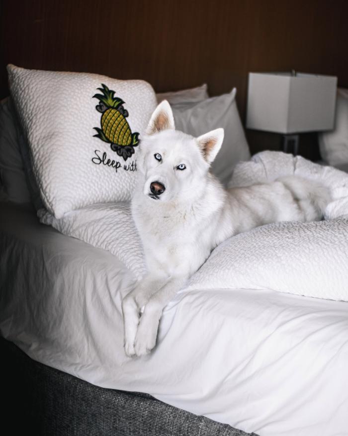 Lexy Troth's portfolio content