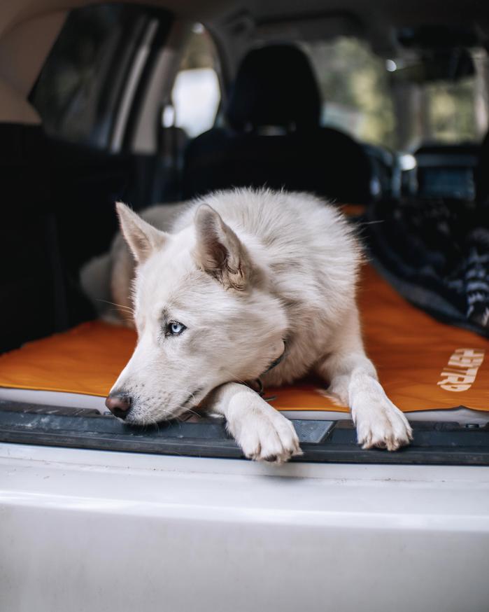 Lexy Troth's portfolio content