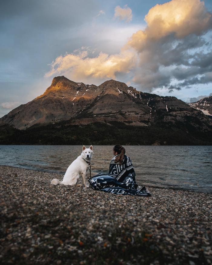 Lexy Troth's portfolio content