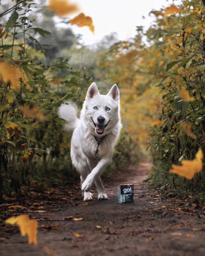 Lexy Troth's portfolio content