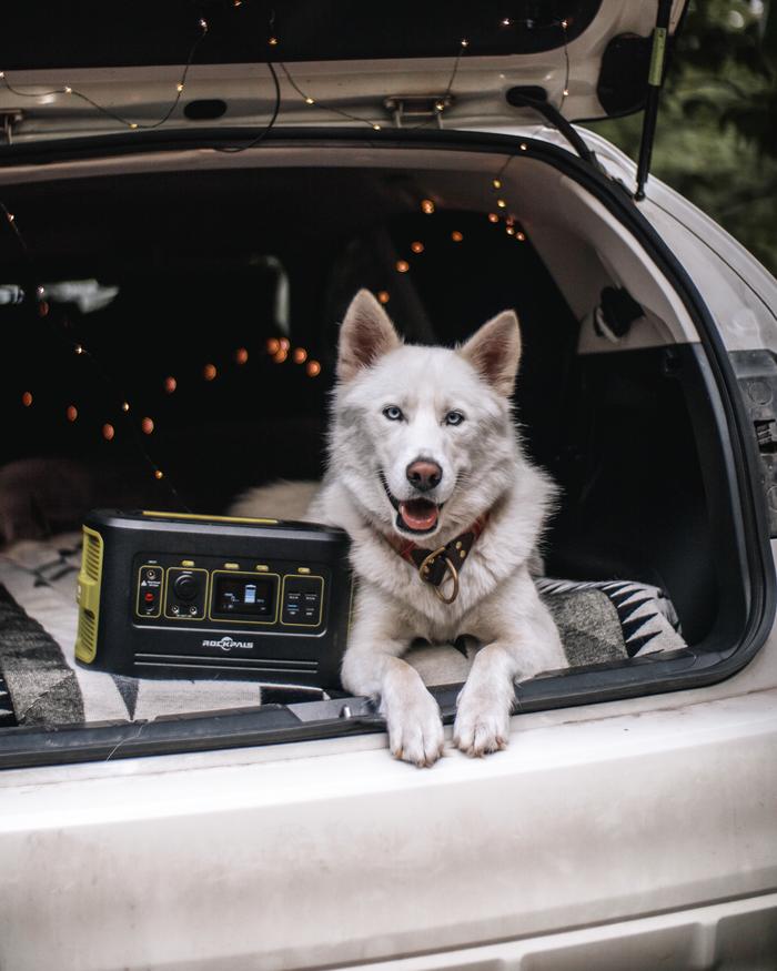 Lexy Troth's portfolio content
