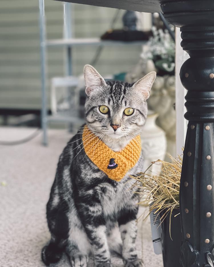 Butters & Cheese's portfolio content