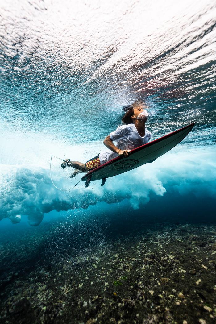 Felip Vives Vancells's portfolio content