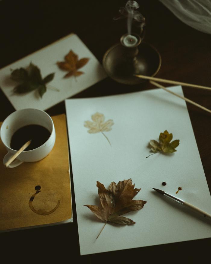 Donatella Brusca's portfolio content