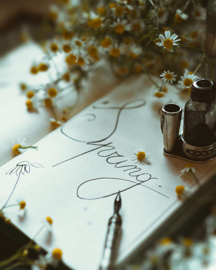 Donatella Brusca's portfolio content