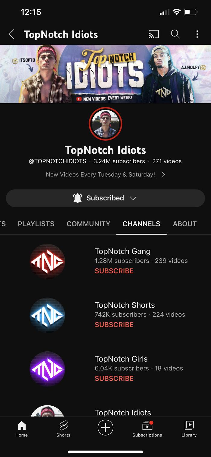 TopNotch Idiots's portfolio content